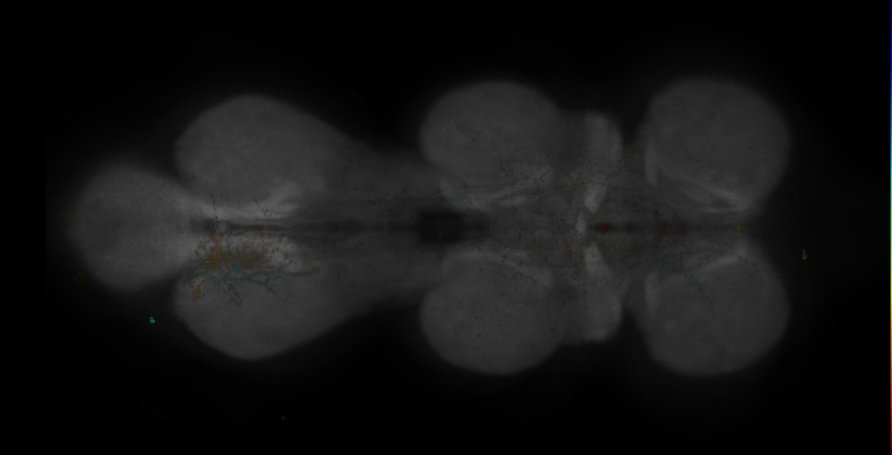 JRC_MB543B_VNC_2020__3