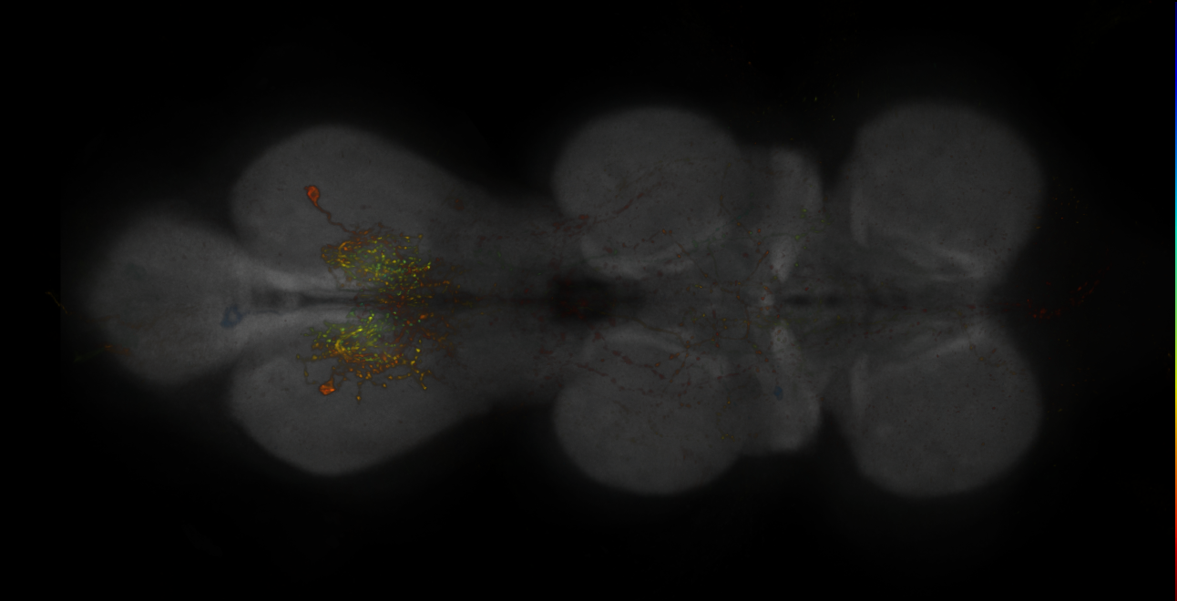 JRC_MB543B_VNC_2020__4