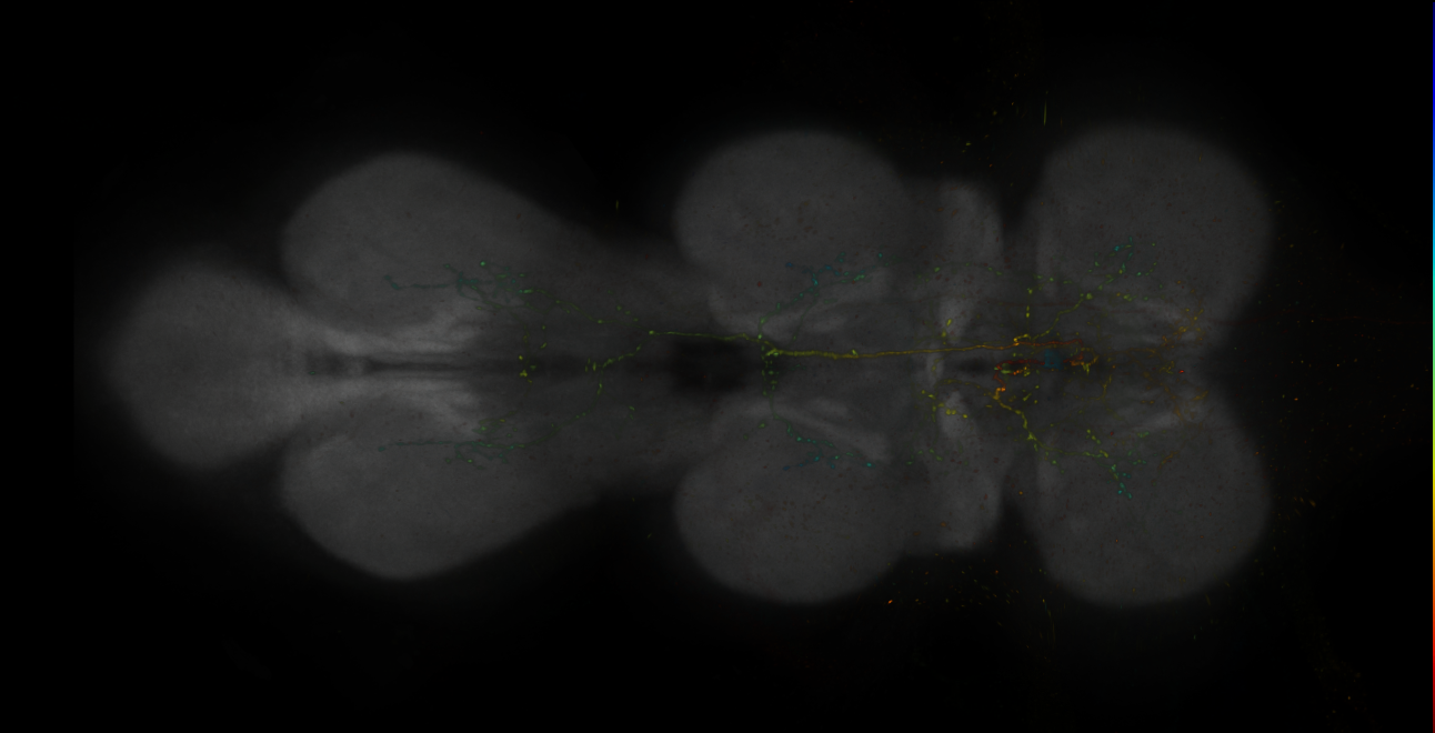 JRC_MB549C_VNC_2020__2
