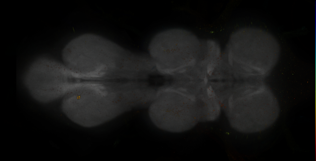 JRC_MB005B_VNC_2020__1