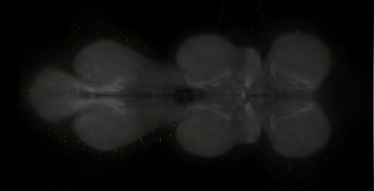 JRC_MB296B_VNC_2020__7