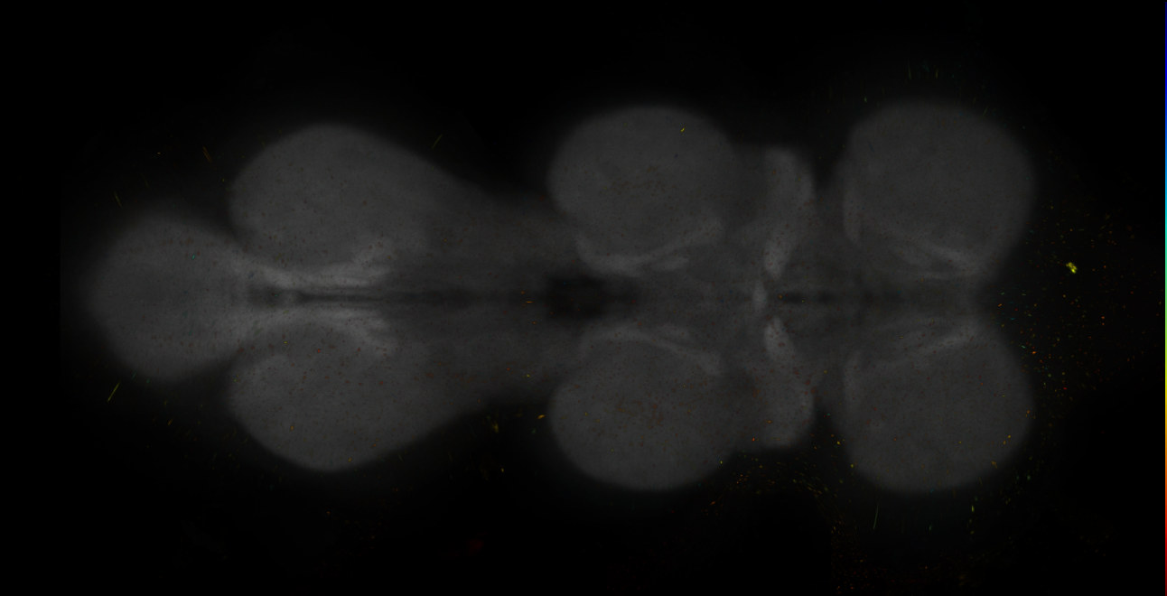JRC_MB304B_VNC_2020__6