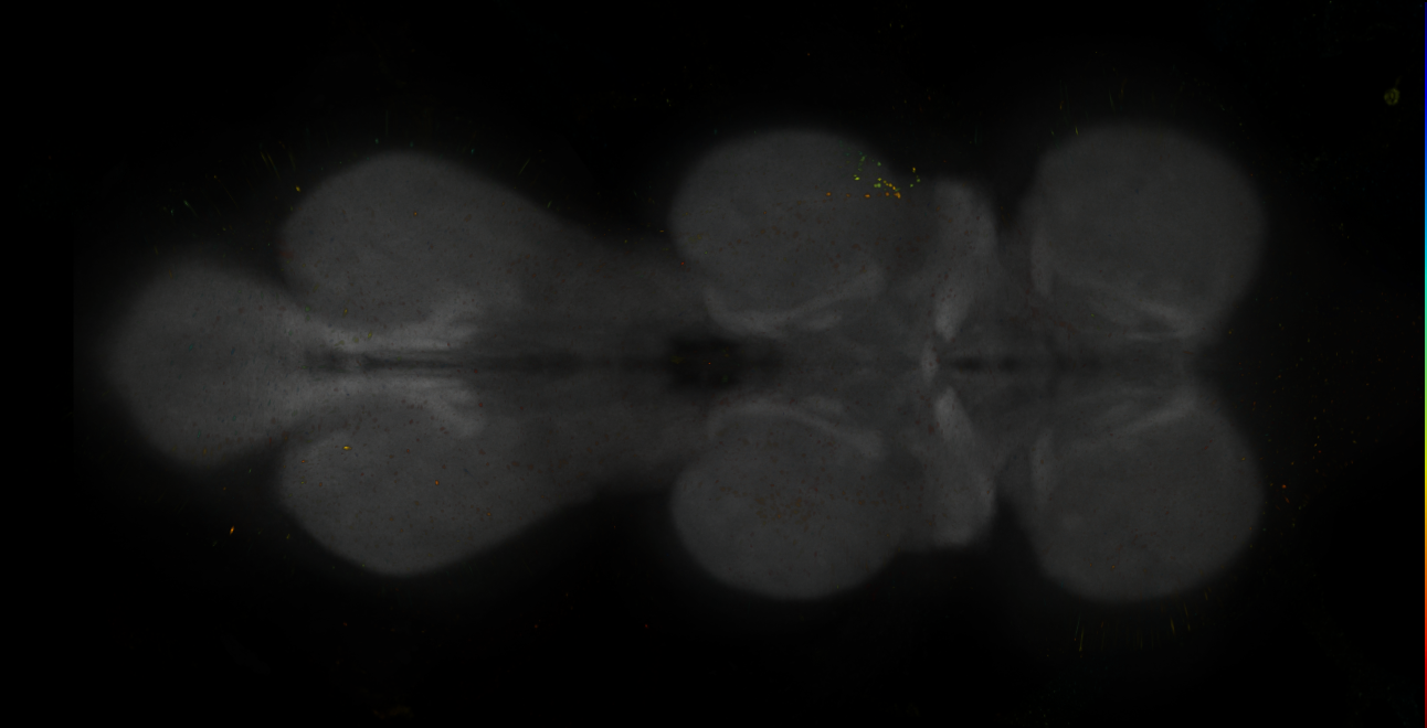 JRC_MB304B_VNC_2020__8