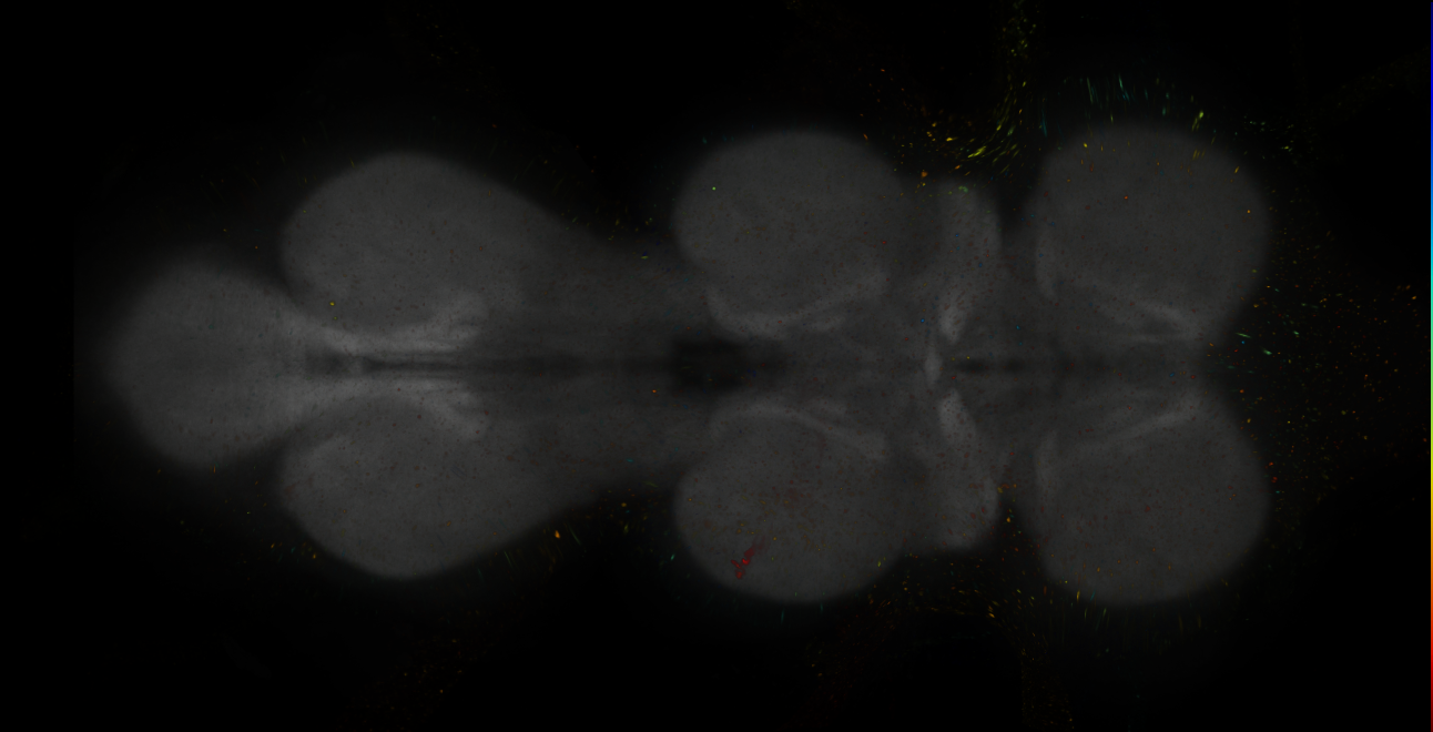 JRC_MB308B_VNC_2020__3