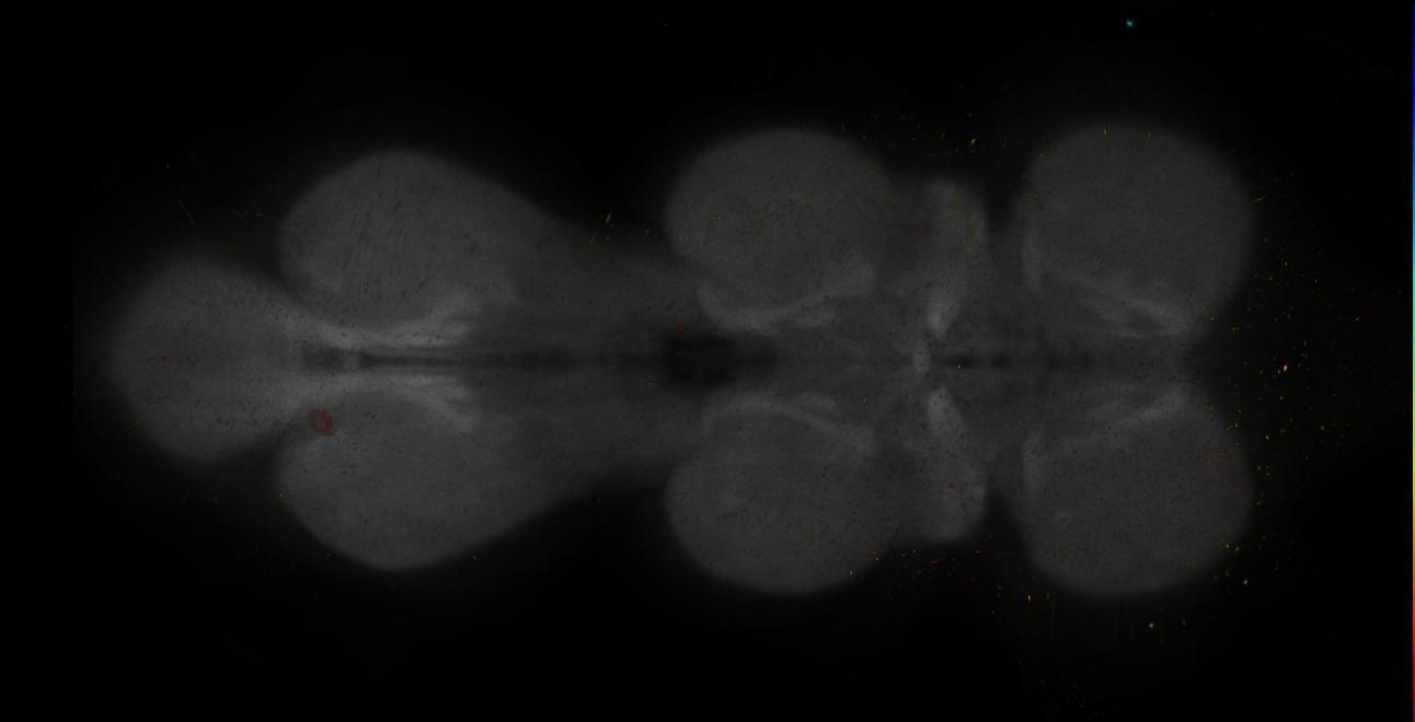 JRC_MB308B_VNC_2020__4