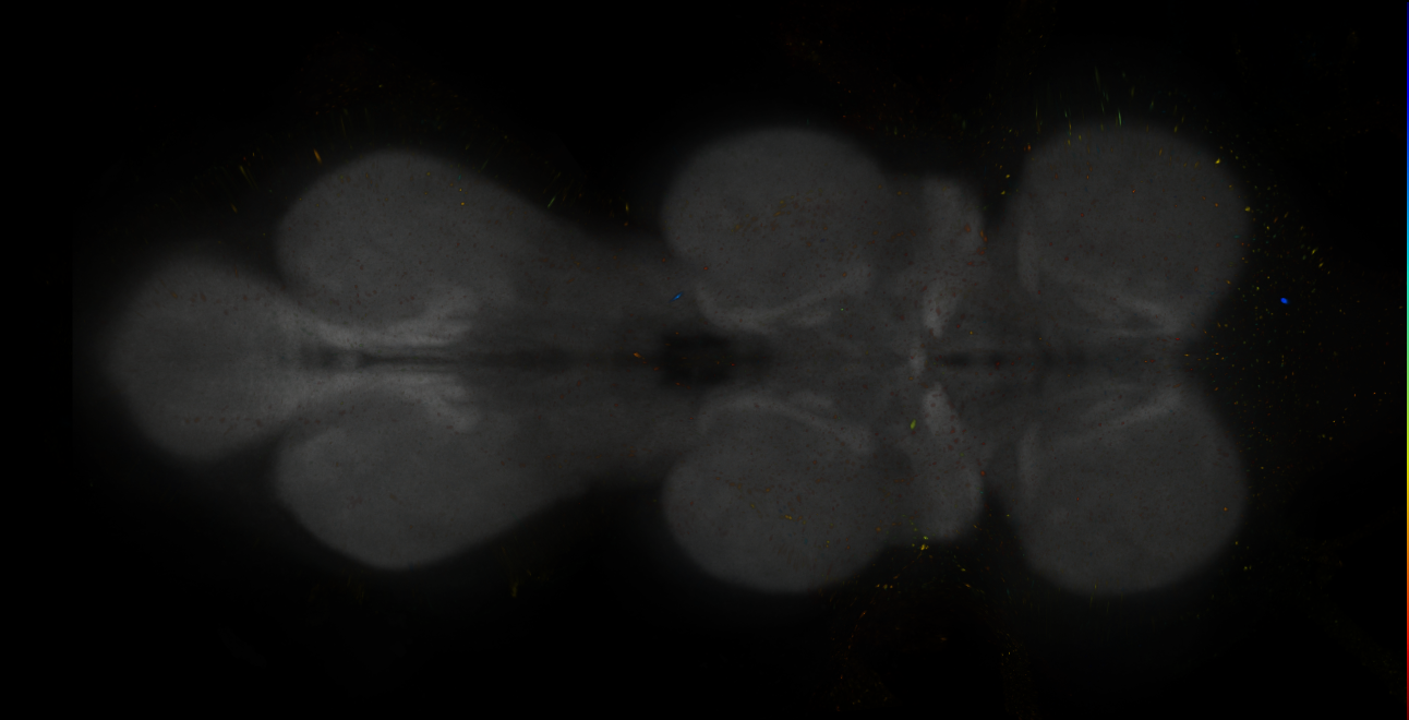 JRC_MB504B_VNC_2020__2