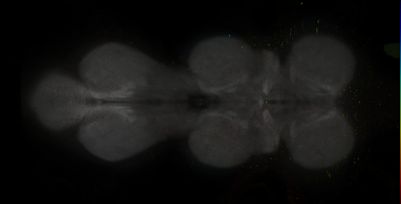 JRC_MB060B_VNC_2020__5