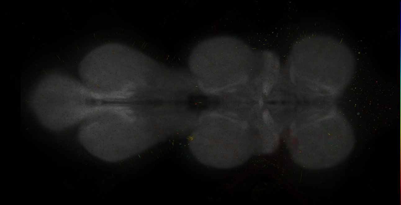 JRC_MB065B_VNC_2020__5