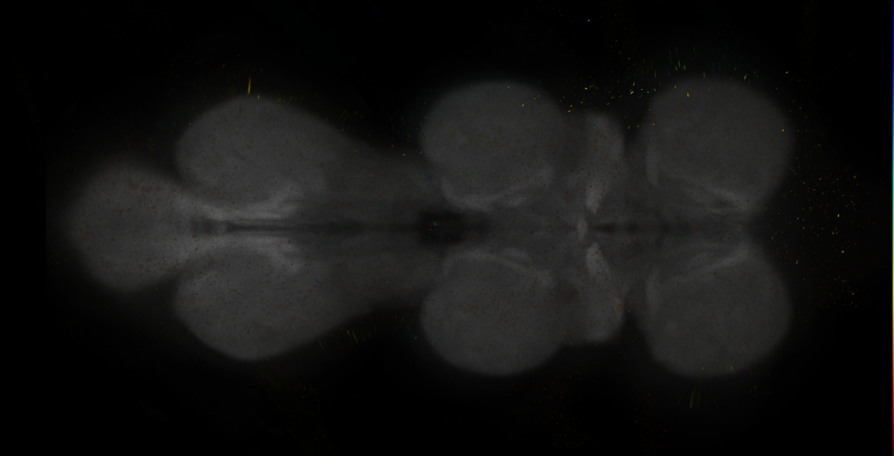 JRC_MB065B_VNC_2020__6