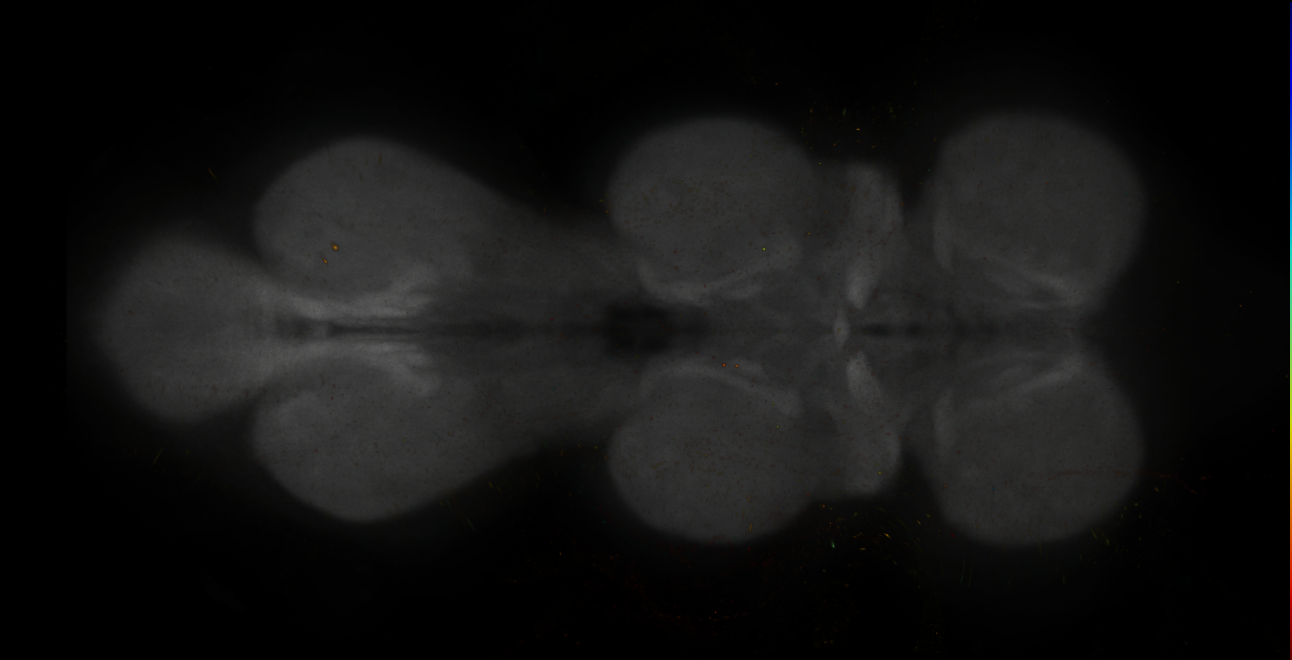 JRC_MB032B_VNC_2020__1