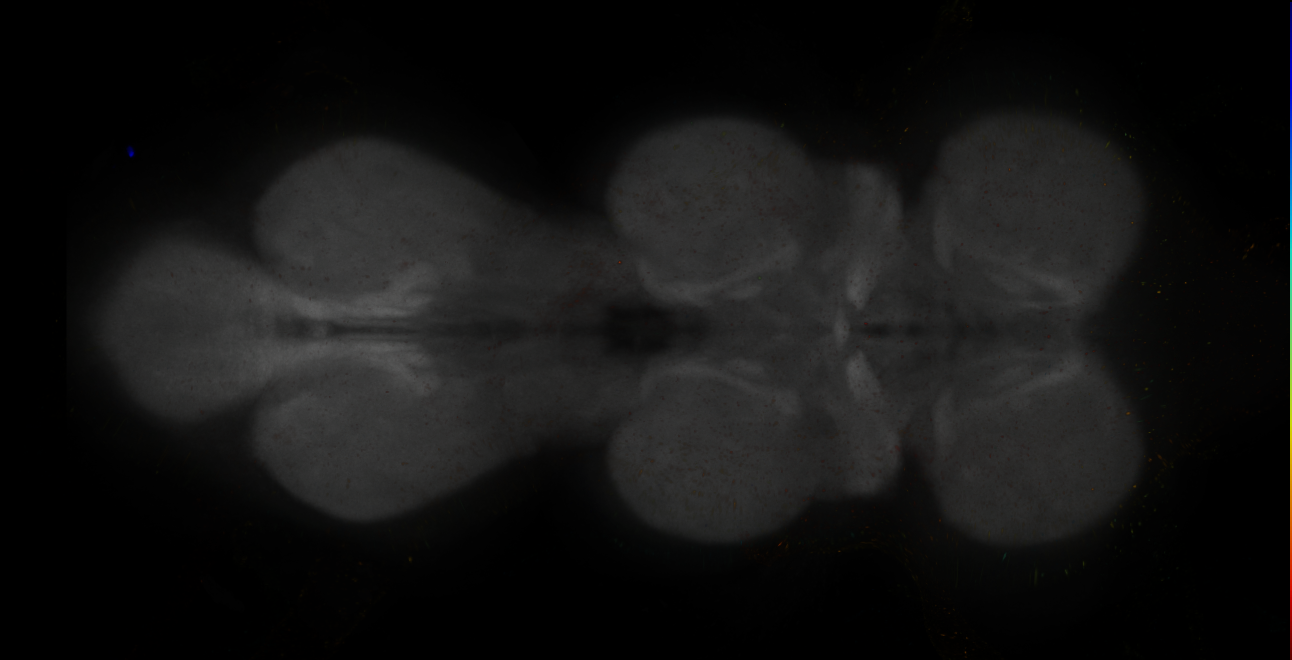 JRC_MB042B_VNC_2020__7