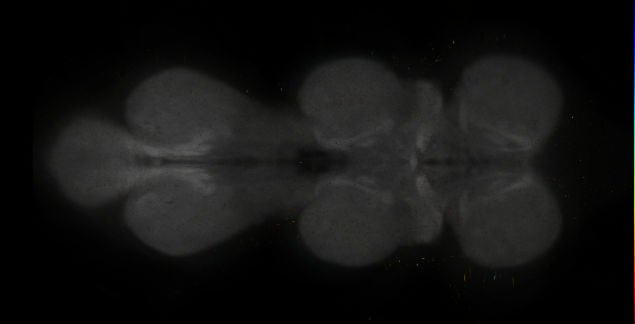 JRC_MB042B_VNC_2020__8