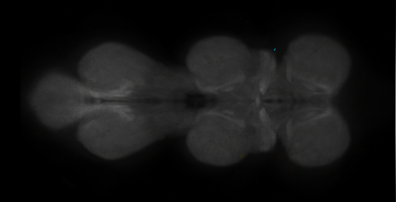 JRC_MB042B_VNC_2020__9