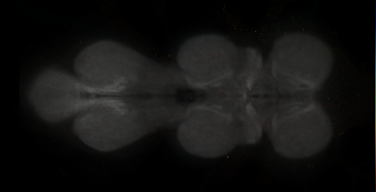 JRC_MB047B_VNC_2020__6