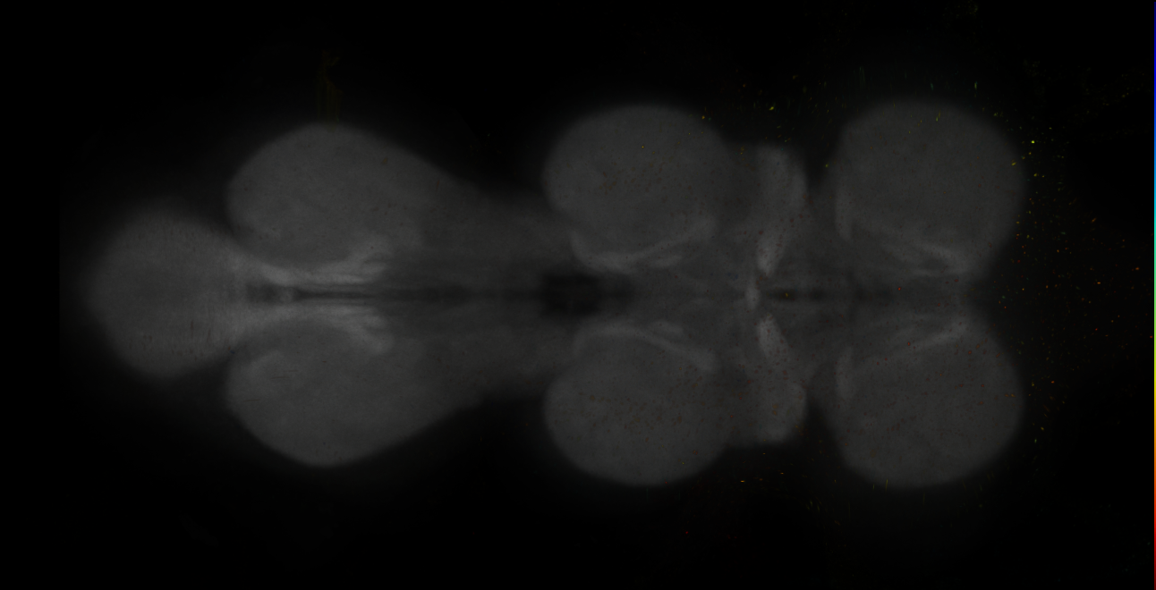 JRC_MB047B_VNC_2020__7