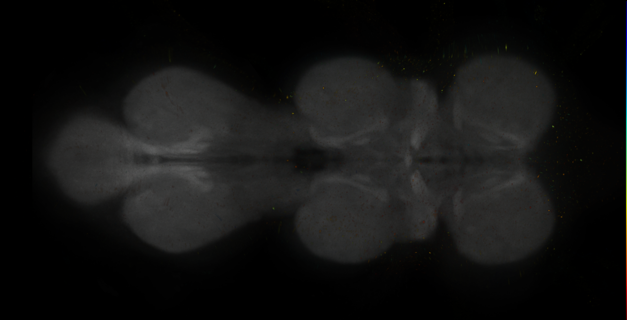 JRC_MB087C_VNC_2020__2