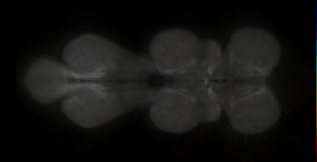 JRC_MB087C_VNC_2020__3
