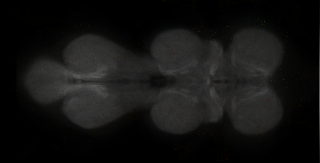 JRC_MB109B_VNC_2020__6