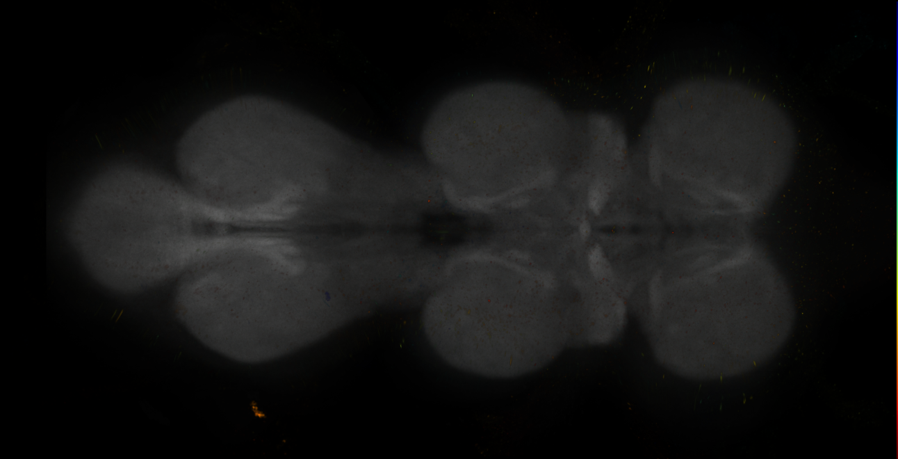 JRC_MB109B_VNC_2020__7