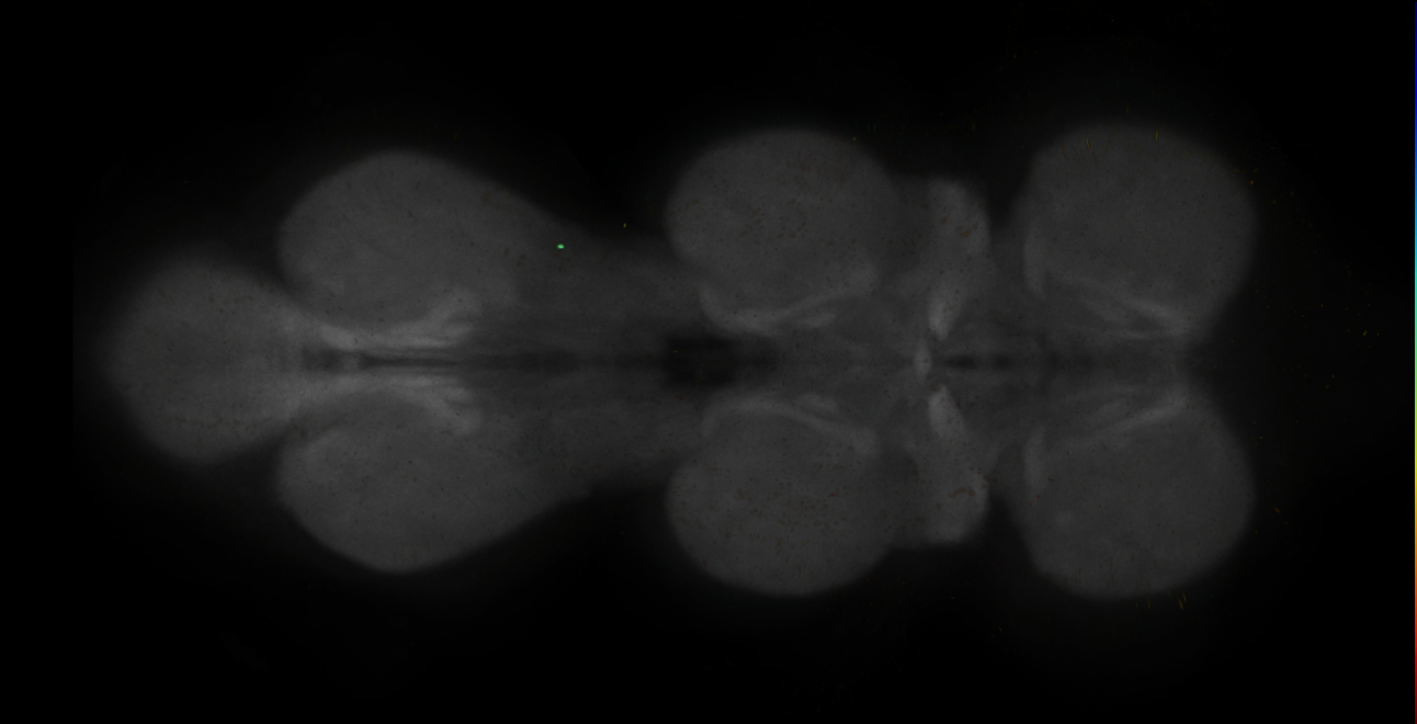 JRC_MB299B_VNC_2020__7