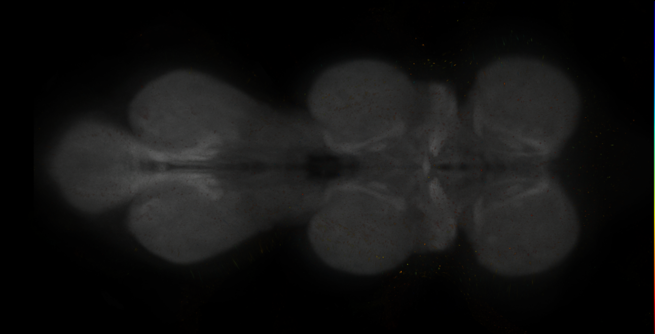 JRC_MB299B_VNC_2020__8