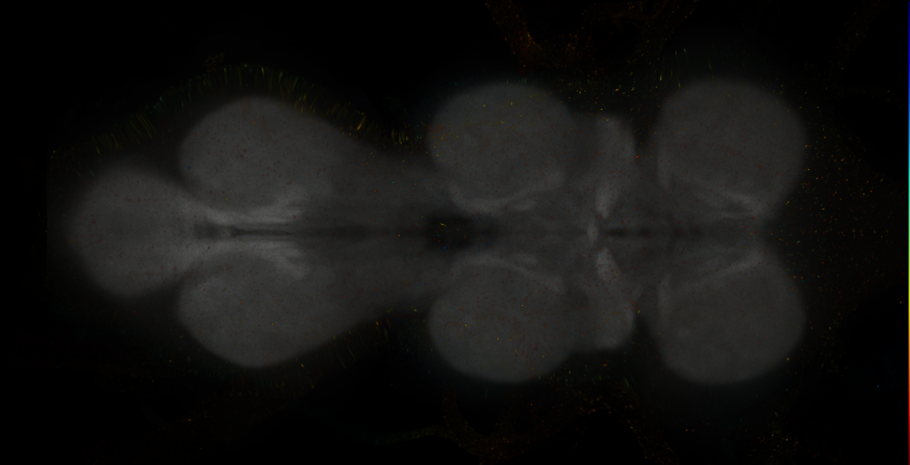 JRC_MB316B_VNC_2020__2