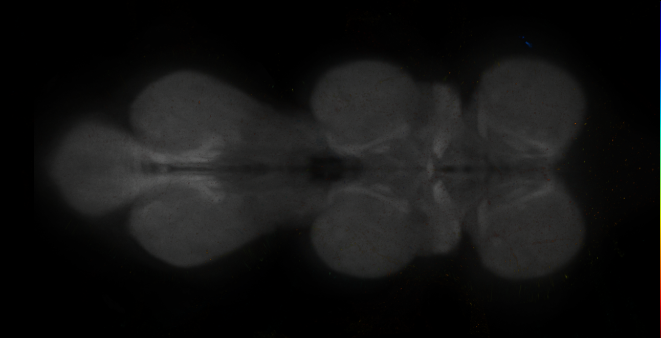 JRC_MB315C_VNC_2020__2
