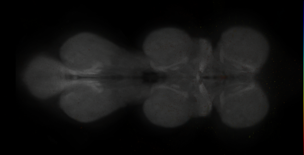 JRC_MB315C_VNC_2020__3