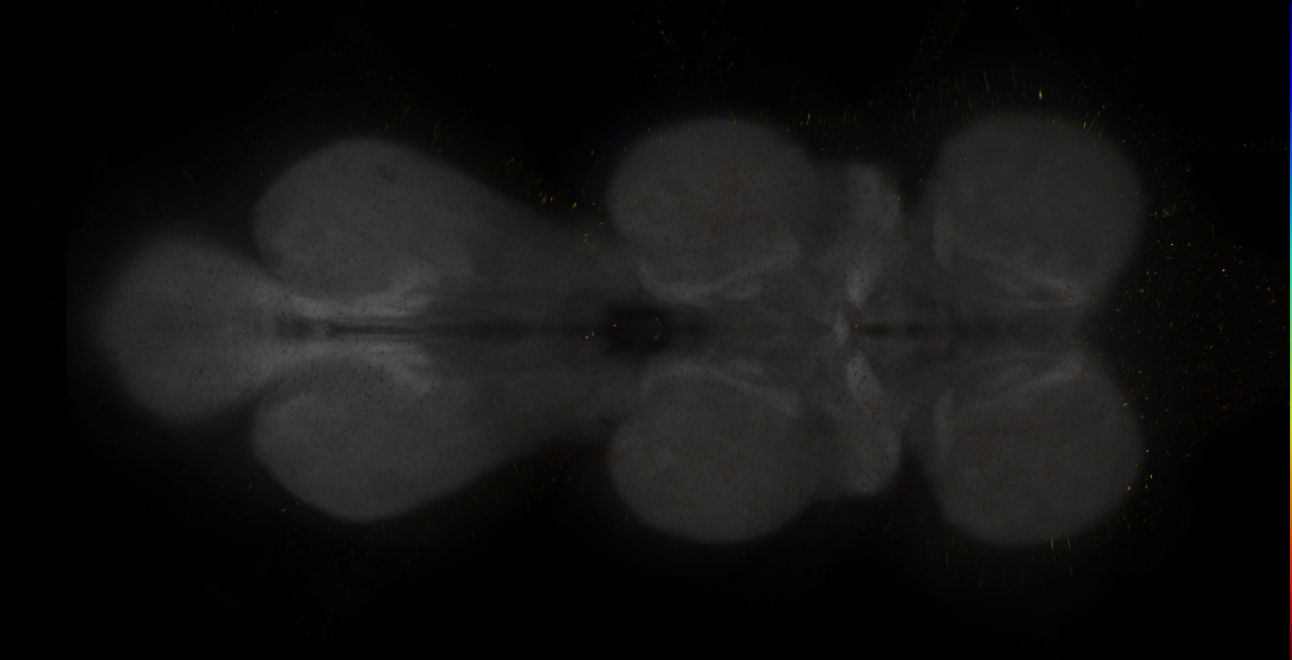 JRC_MB315C_VNC_2020__4