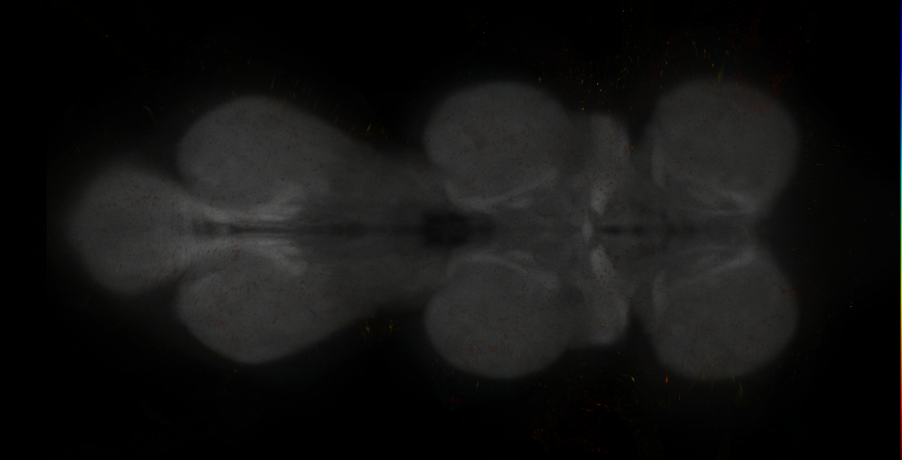JRC_MB196B_VNC_2020__5