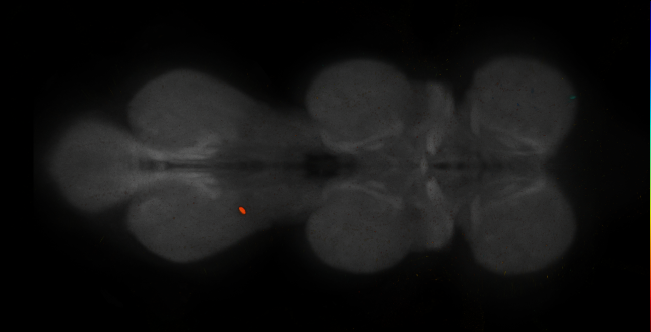 JRC_MB196B_VNC_2020__6