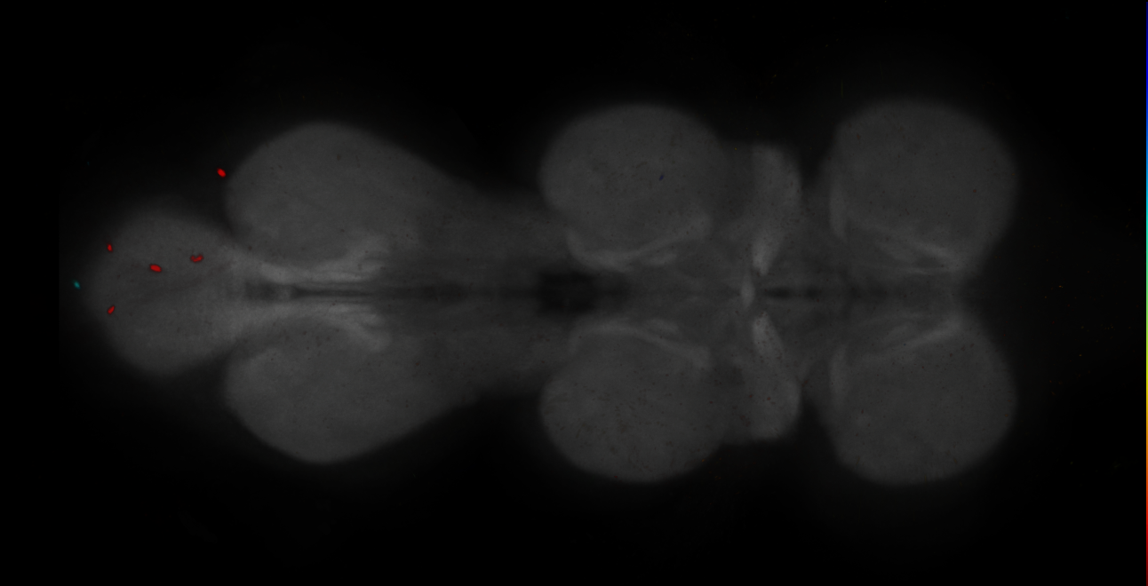 JRC_MB188B_VNC_2020__4