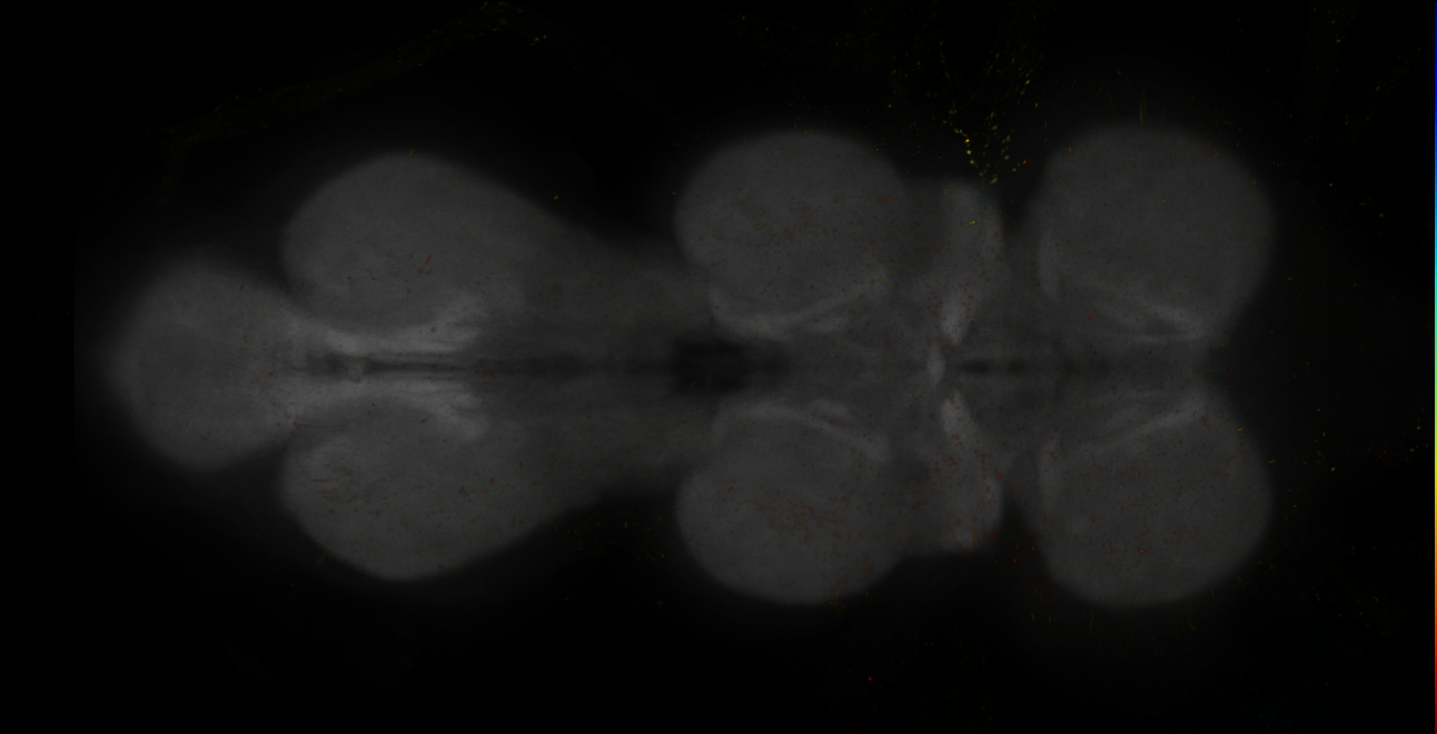 JRC_MB188B_VNC_2020__5