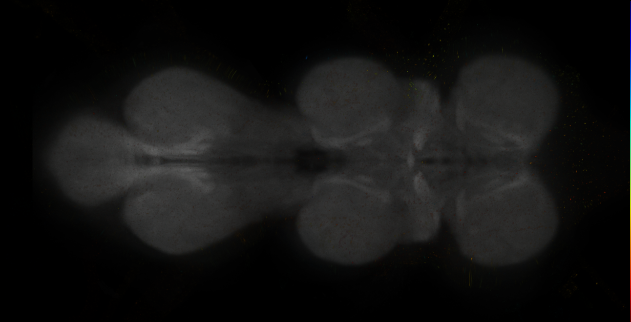 JRC_MB194B_VNC_2020__7