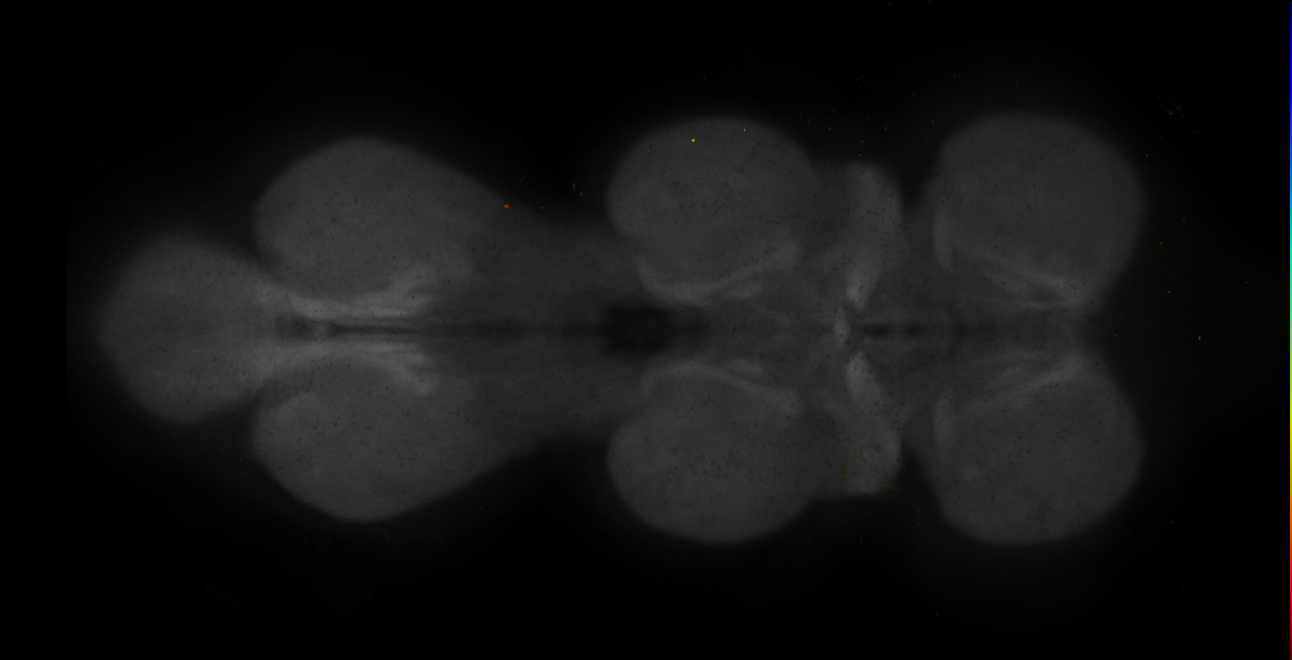 JRC_MB194B_VNC_2020__8