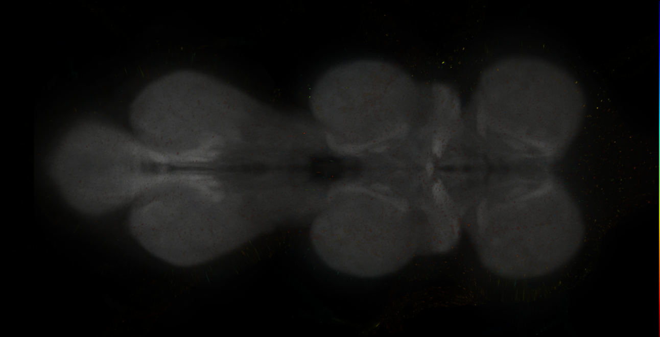 JRC_MB194B_VNC_2020__9