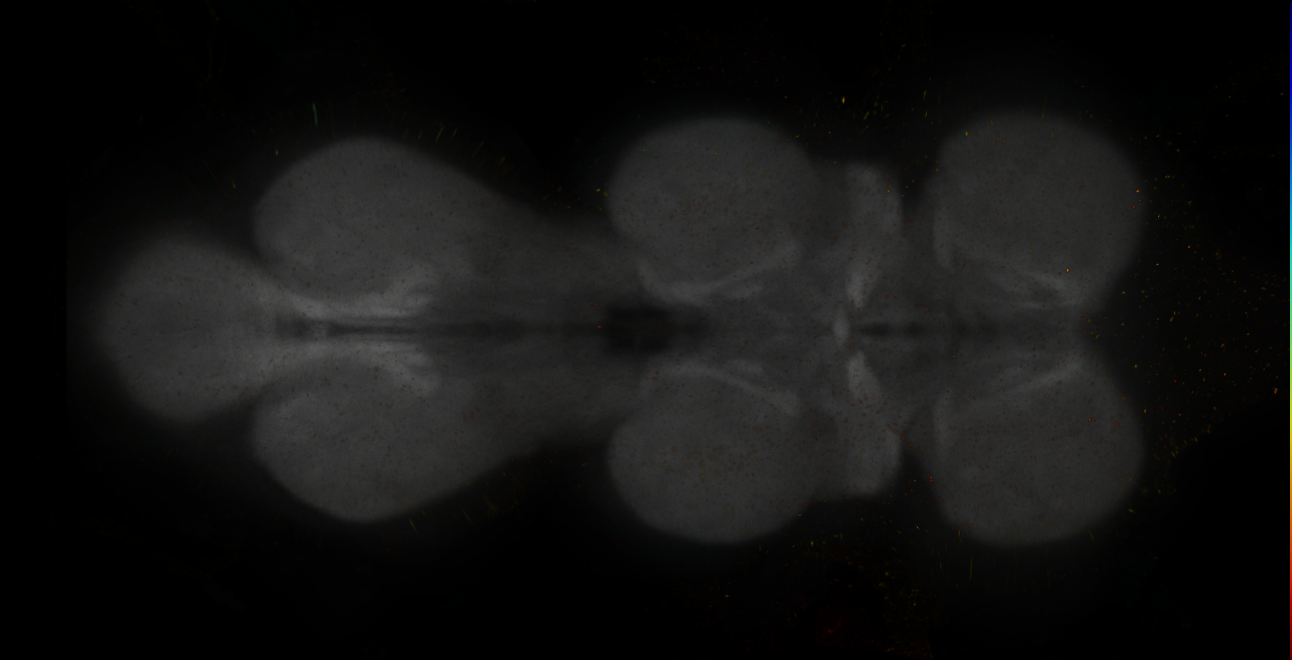 JRC_MB194B_VNC_2020__10