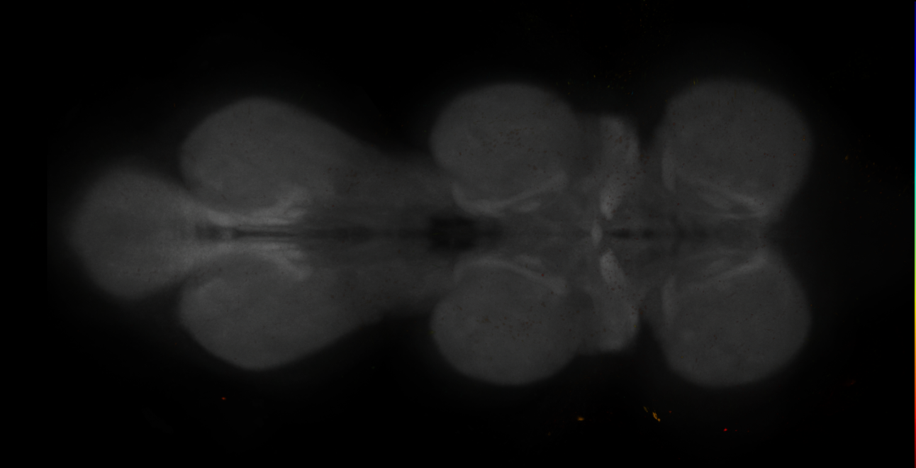 JRC_MB043B_VNC_2020__7