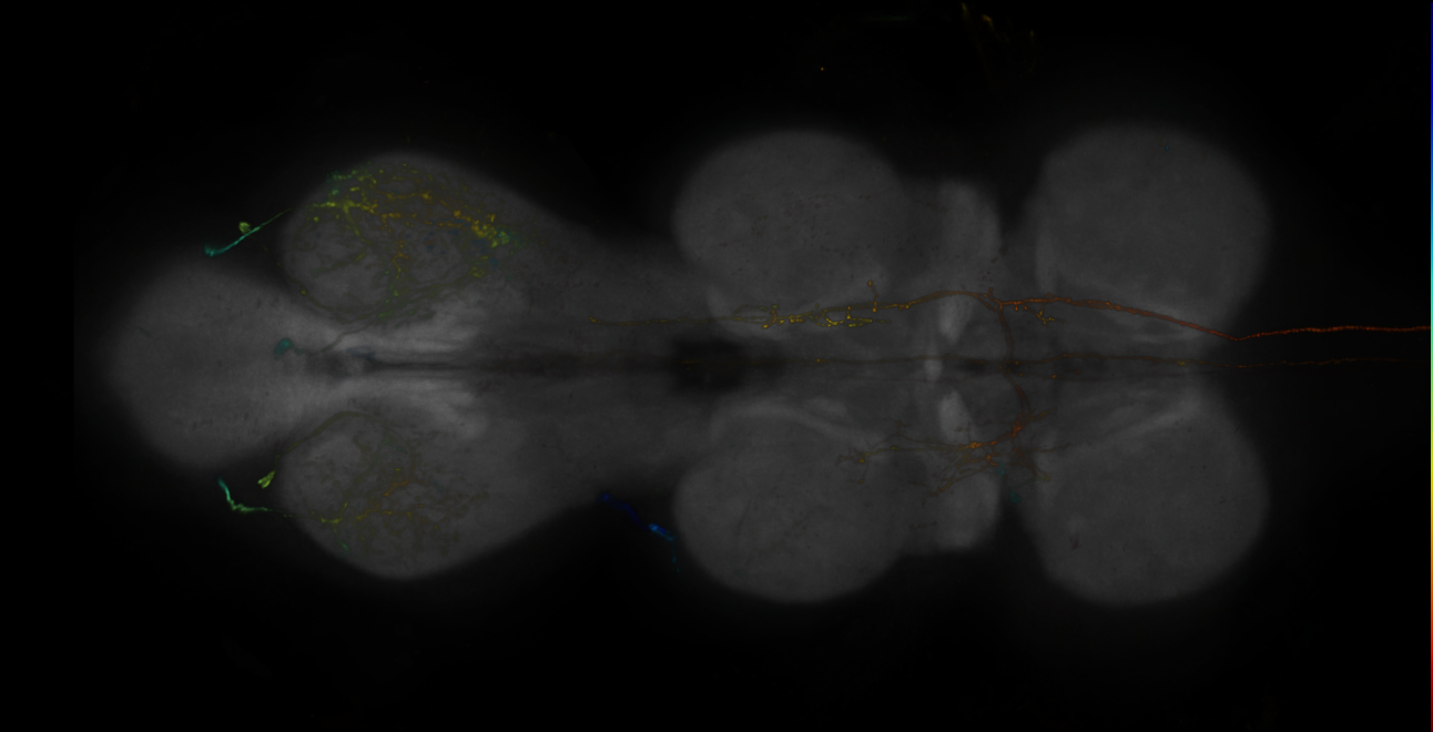 JRC_MB607B_VNC_2020__3