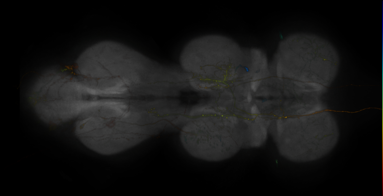 JRC_MB131B_VNC_2020__2