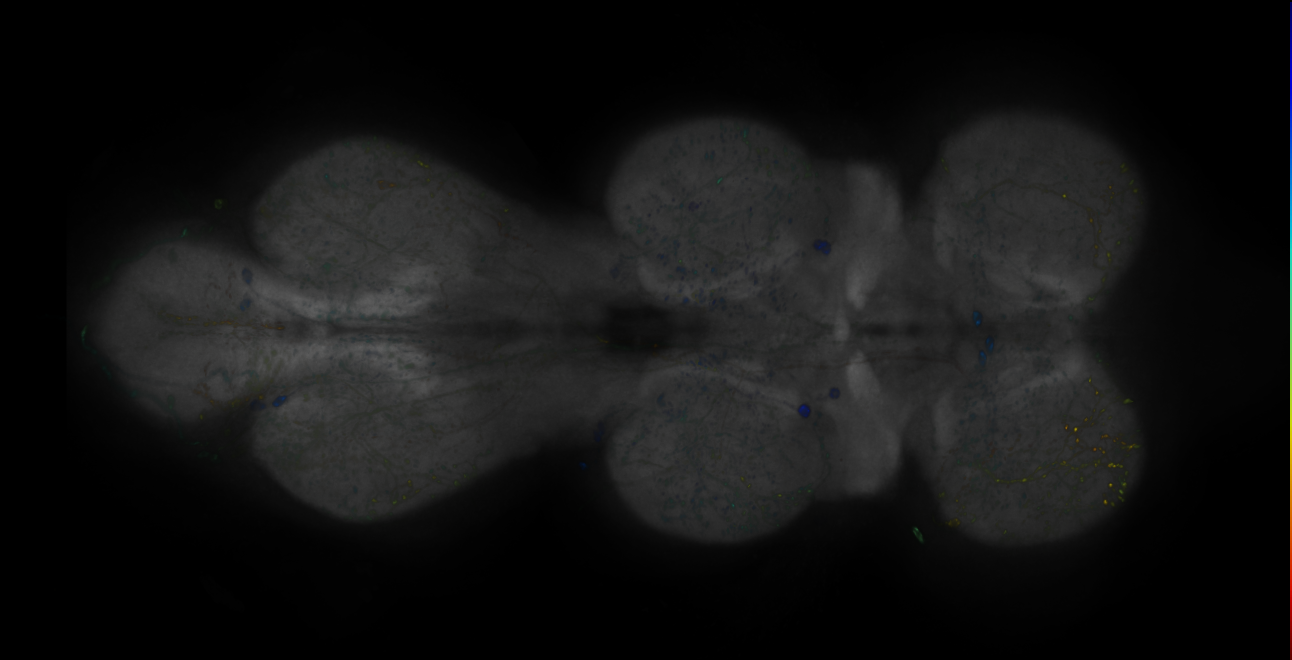 JRC_MB371B_VNC_2020__5