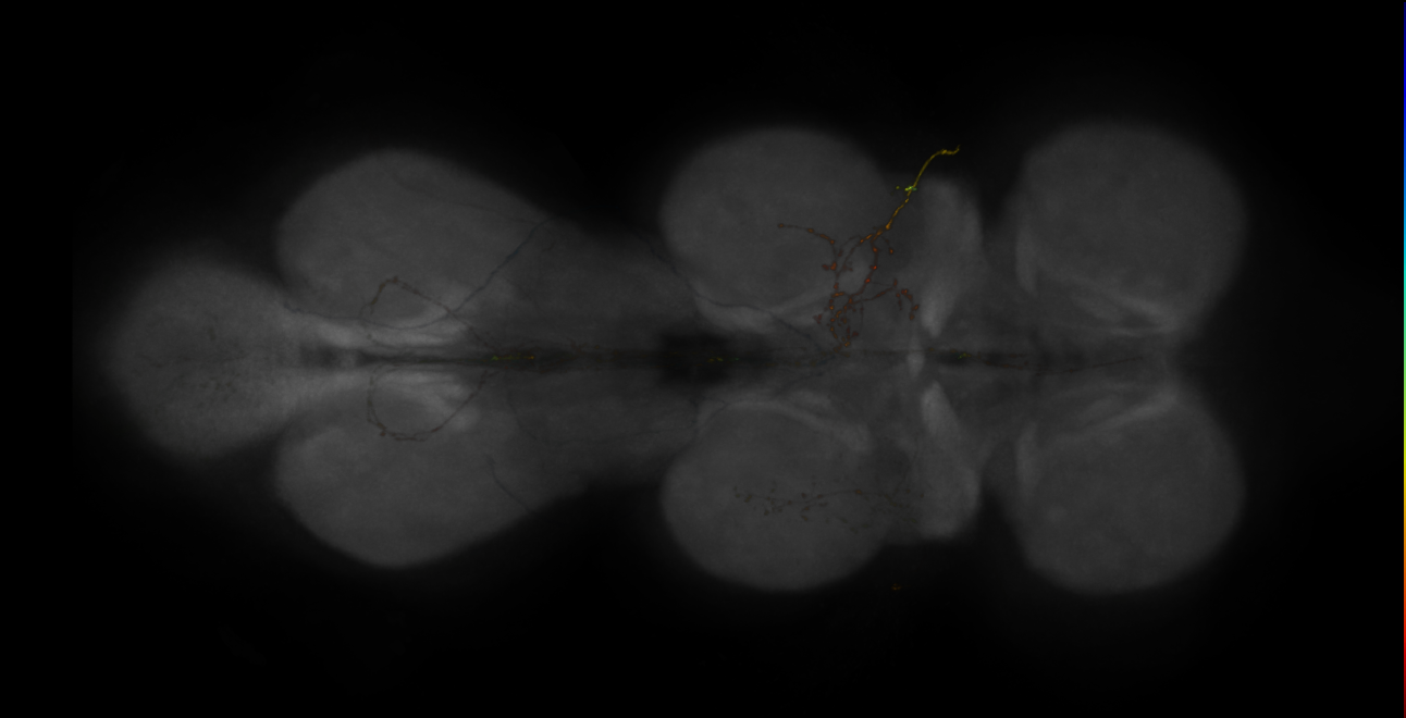 JRC_MB461B_VNC_2020__1