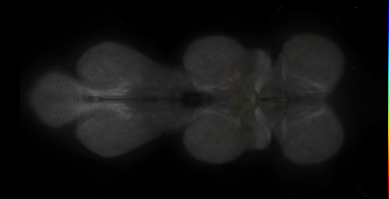 JRC_MB477B_VNC_2020__4