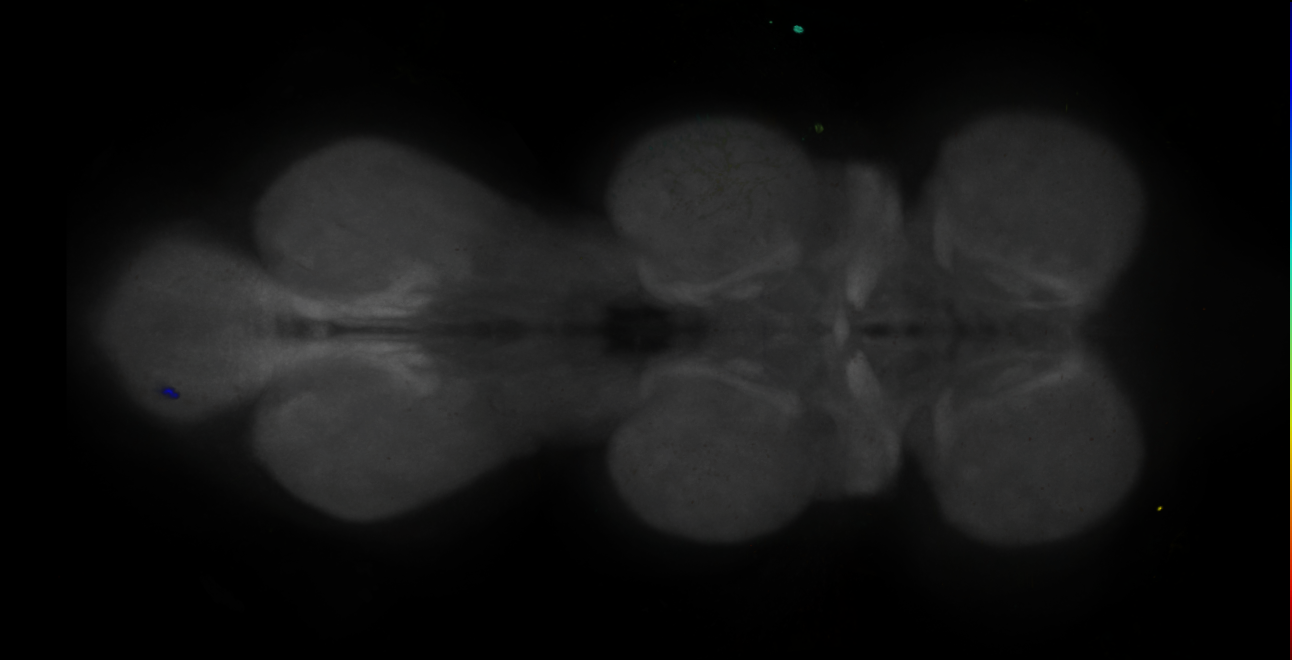 JRC_MB370B_VNC_2020__2