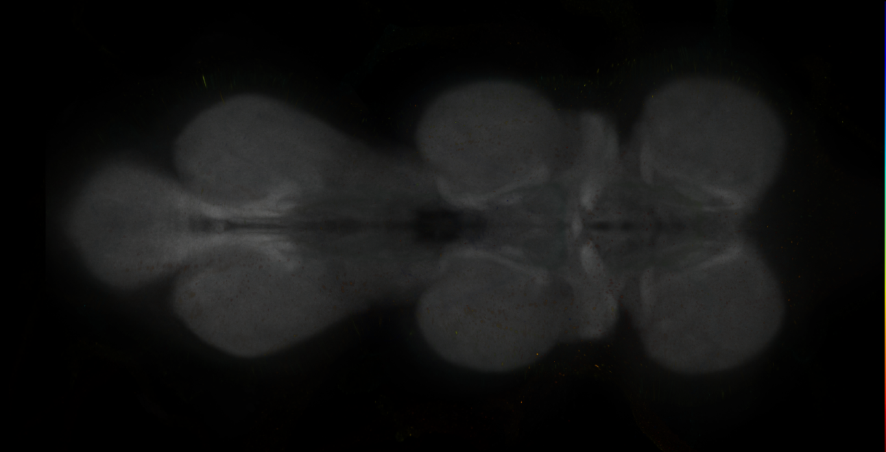 JRC_MB299B_VNC_2020__9