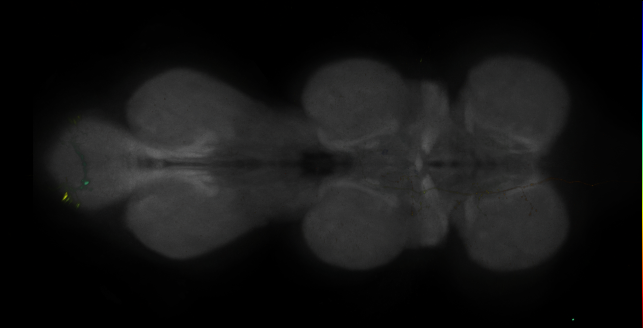 JRC_MB058B_VNC_2020__5