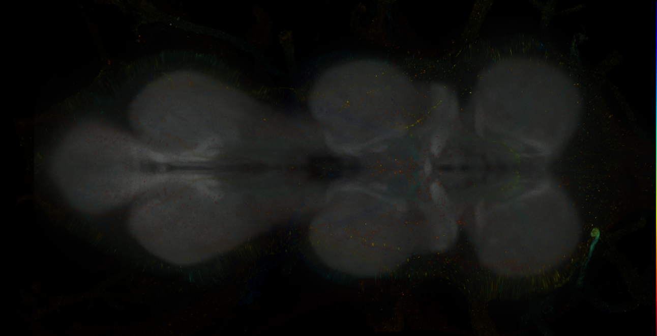 JRC_MB047B_VNC_2020__9