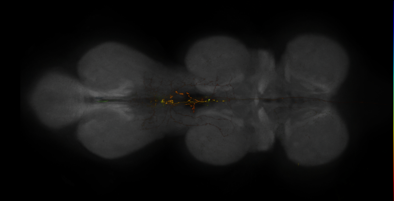 JRC_MB308B_VNC_2020__5