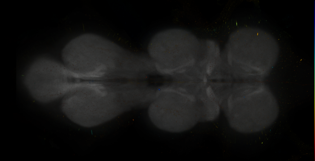 JRC_MB213B_VNC_2020__7