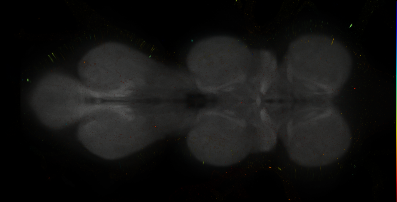JRC_MB312B_VNC_2020__5
